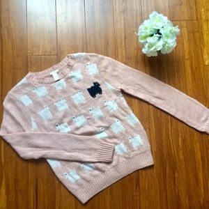 Sheep Sweater